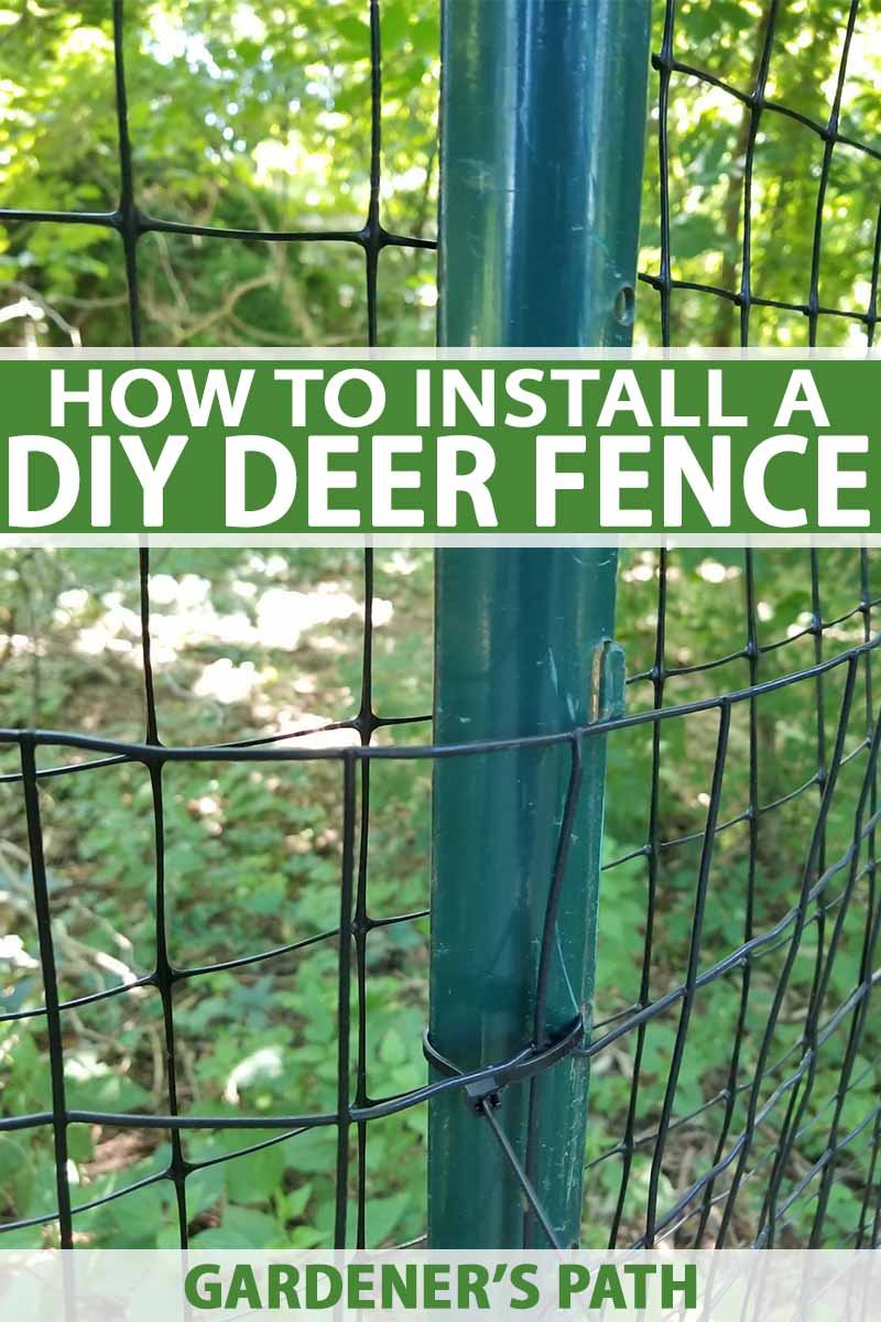 How to Install Deer Fence