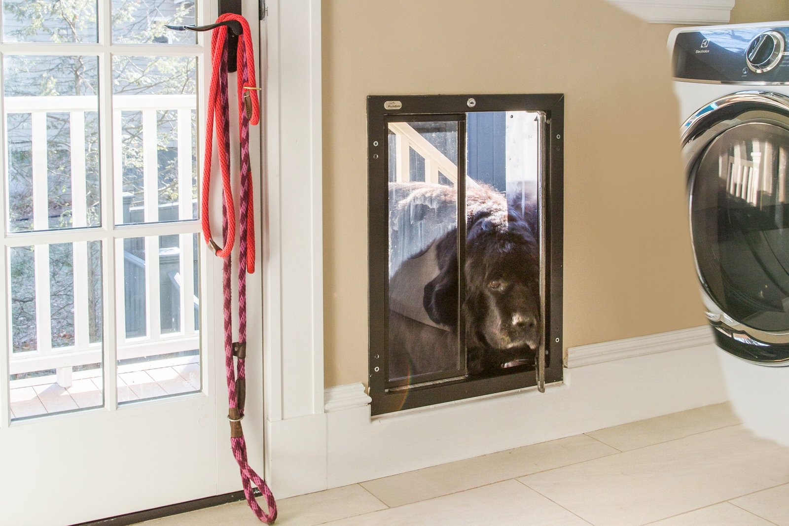 How to Install Dog Door in Wall
