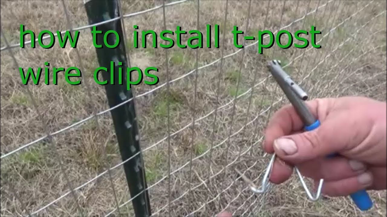 How to Install T Posts for Wire Fence