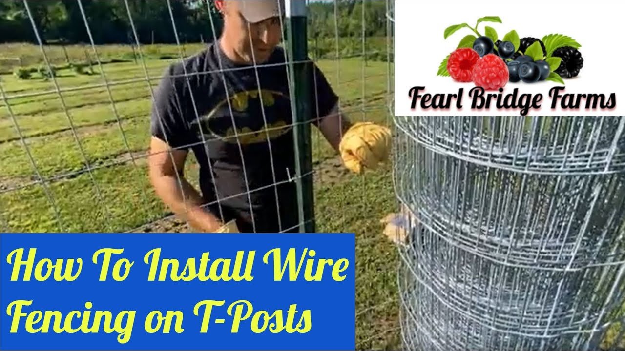 How to Install Wire Fence With T Posts