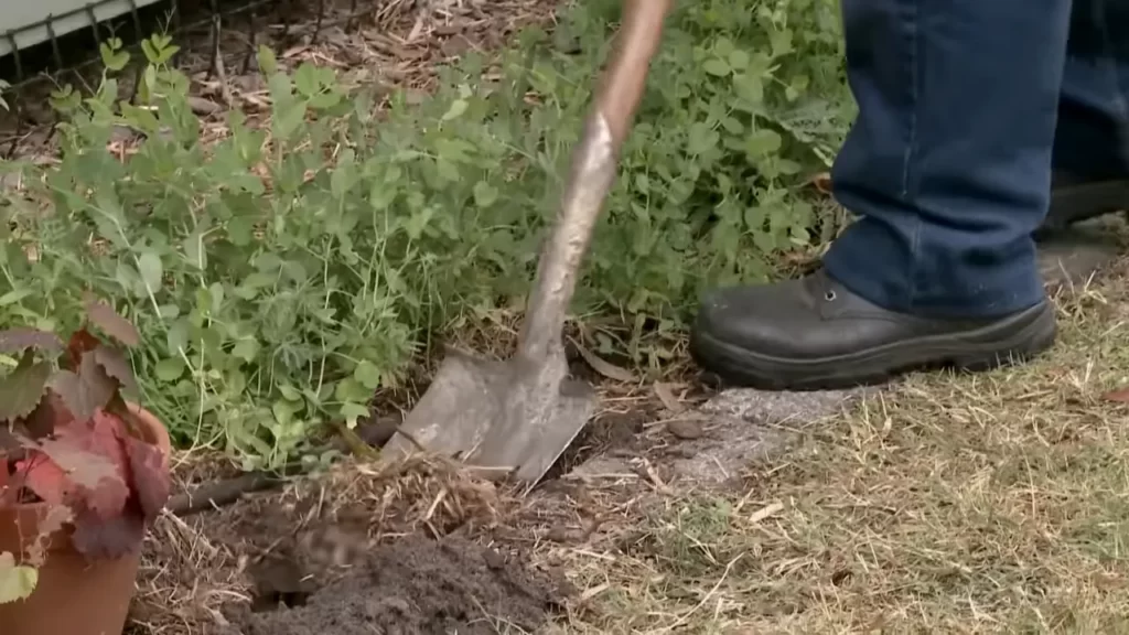 Choosing The Right Garden Edging Material