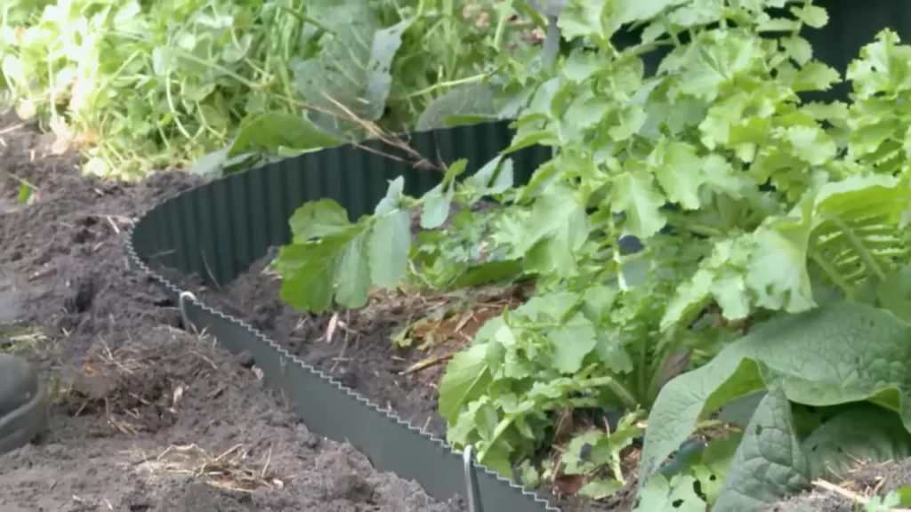 Installing Metal Edging