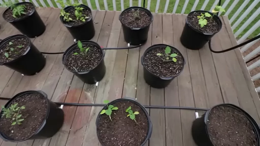 Step-by-step Guide To Installing A Drip Irrigation System For Potted Plants