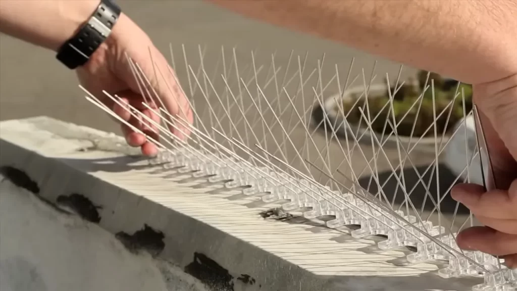 Tips For Installing Bird Spikes On Different Surfaces