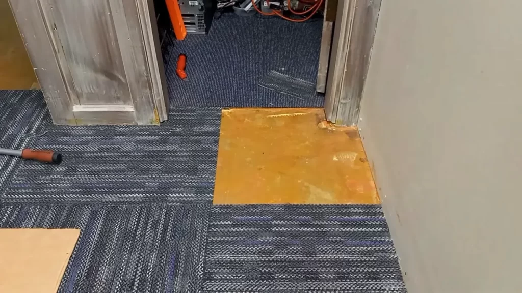 Measure And Assess The Area